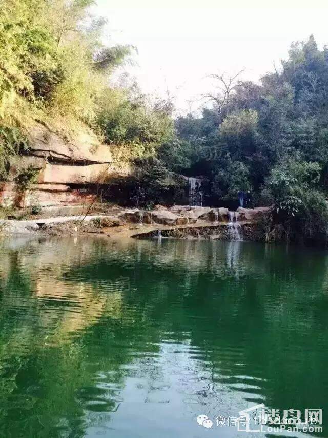 天岛湖实景图