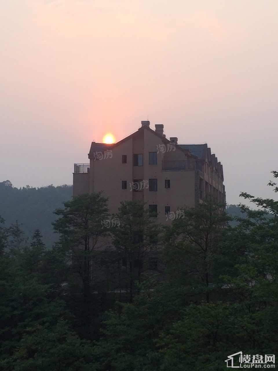 天岛湖实景图