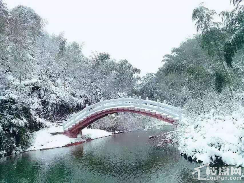 天岛湖实景图
