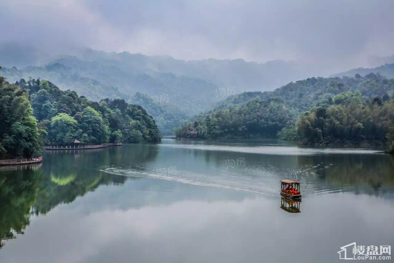 天岛湖实景图
