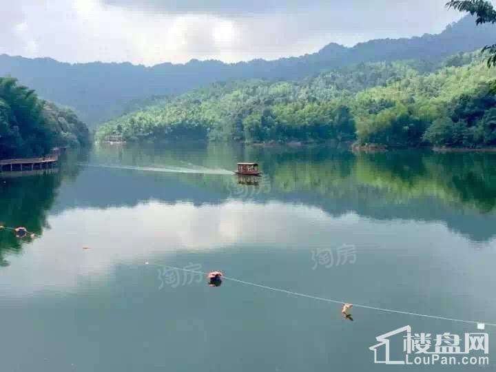天岛湖实景图