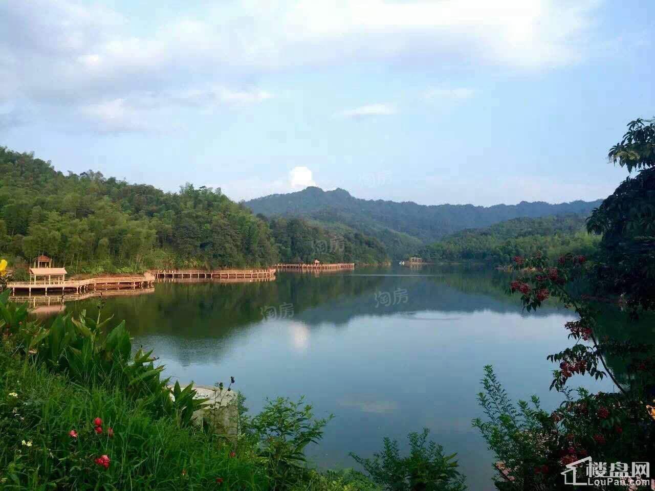 天岛湖实景图