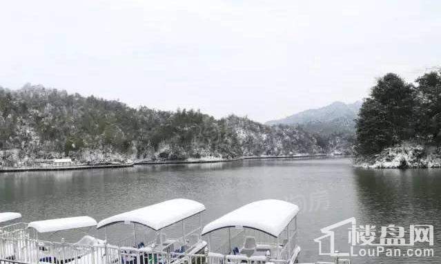 天岛湖实景图
