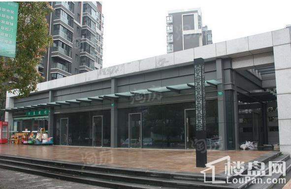 印象欧洲别墅实景图