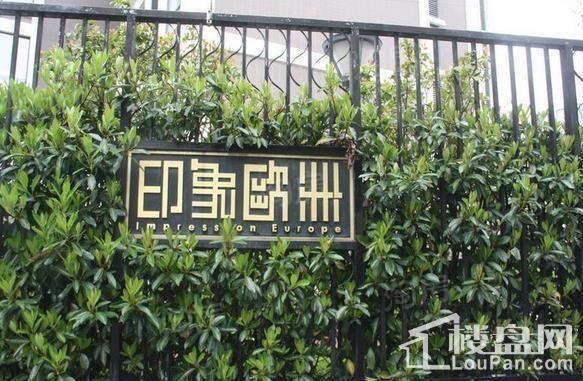 印象欧洲别墅实景图