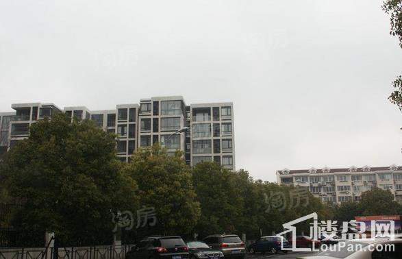 印象欧洲别墅实景图