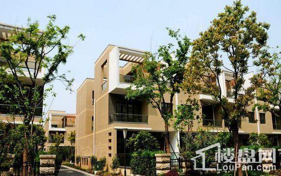 印象欧洲别墅实景图