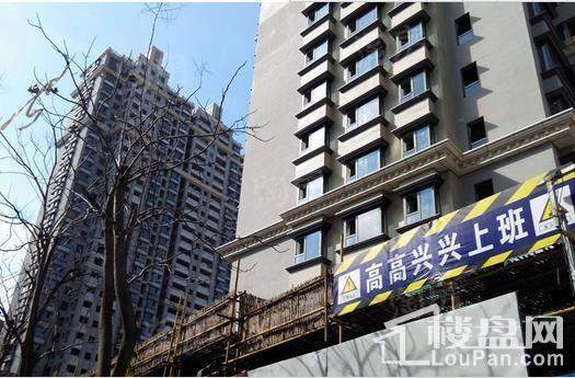 嘉御庭实景图