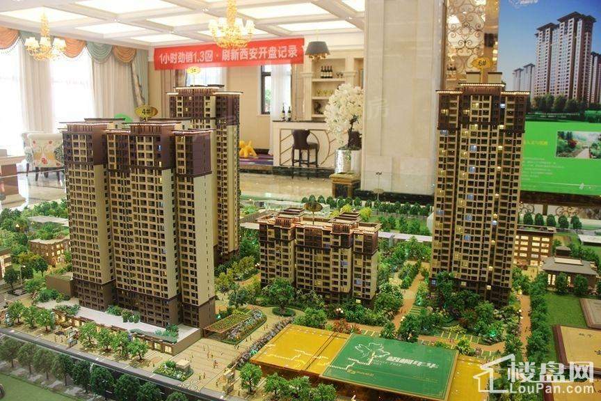 梧桐年华实景图
