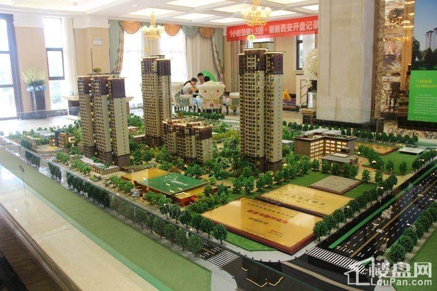 梧桐年华实景图