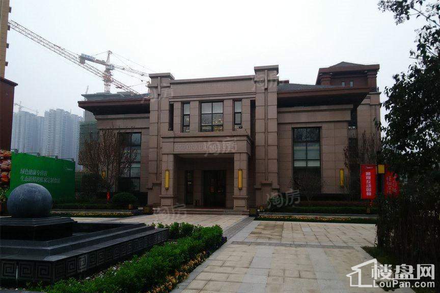 梧桐年华实景图