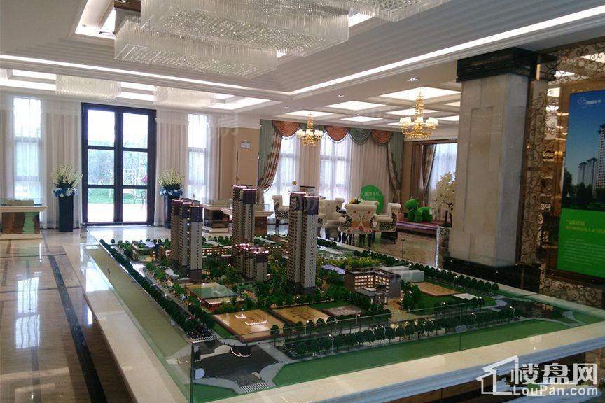 梧桐年华实景图