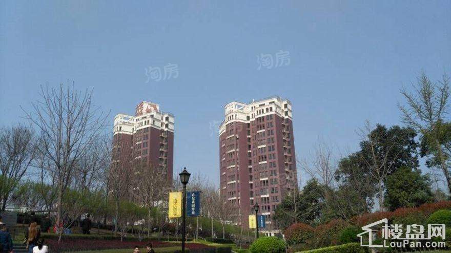 实景图