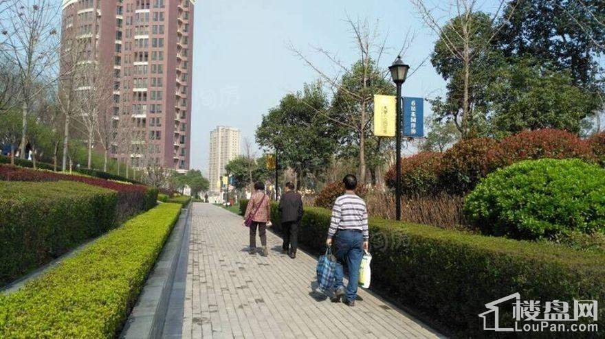 大华曲江公园世家实景图