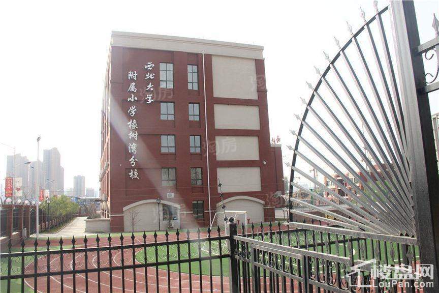 明威橡树湾配套图