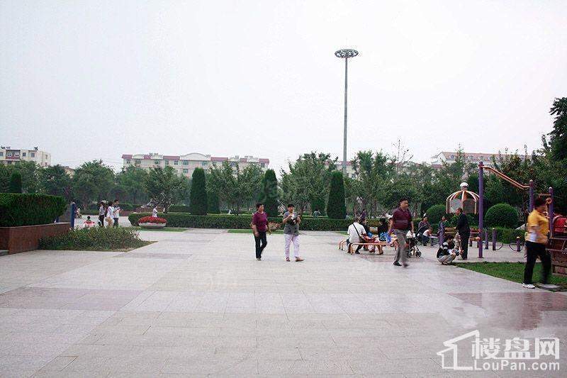 明威橡树湾配套图