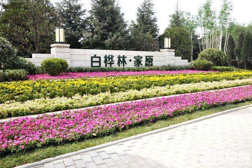 实景图