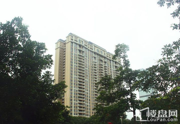 华贸大厦实景图