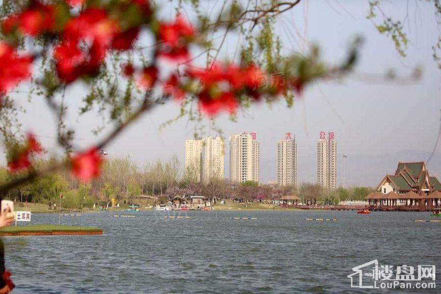 实景图