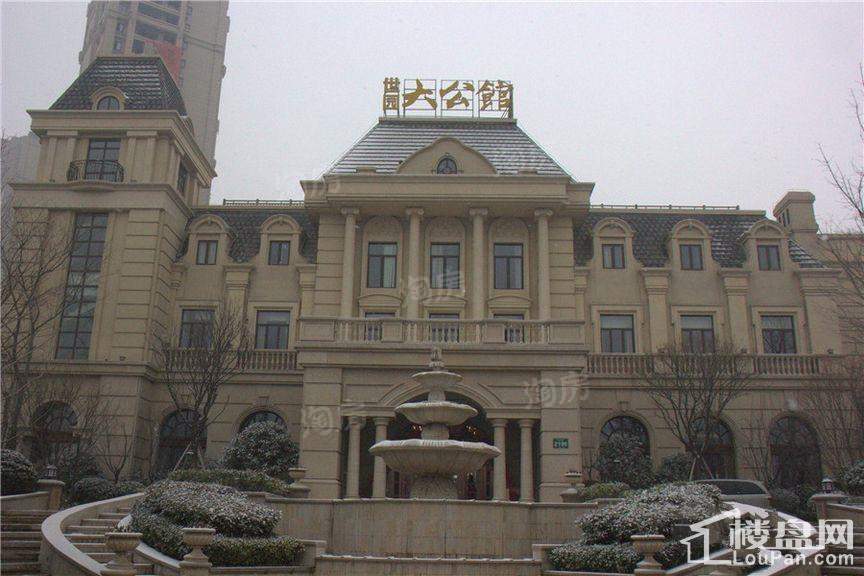 世园大公馆实景图