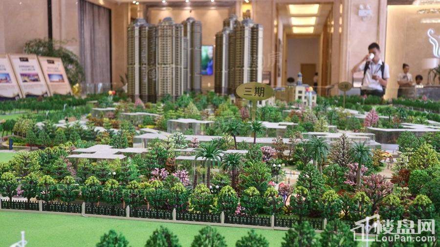 金悦澜湾实景图