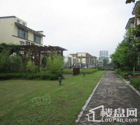 中信泰富朱家角新城别墅实景图