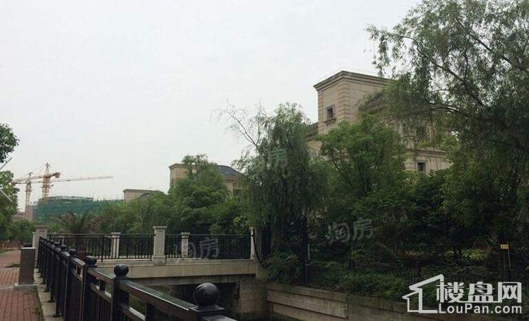 实景图