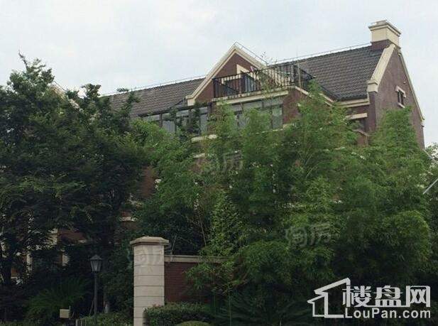 尼德兰北岸实景图