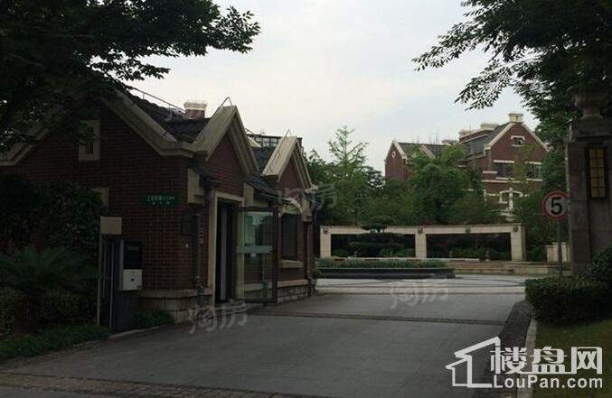 尼德兰北岸实景图