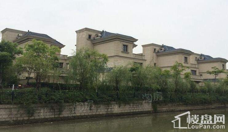 尼德兰北岸实景图