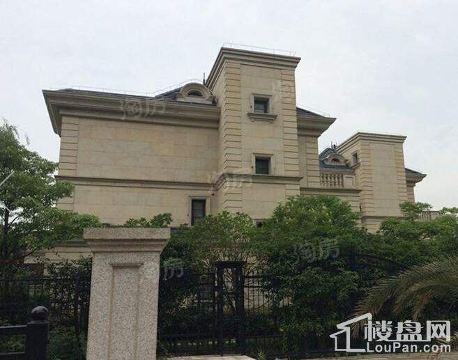 尼德兰北岸实景图