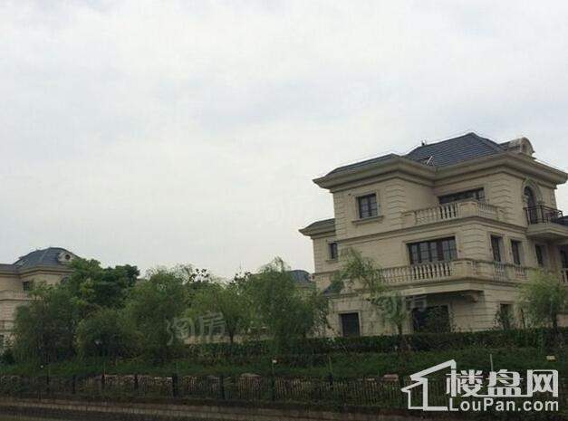 尼德兰北岸实景图