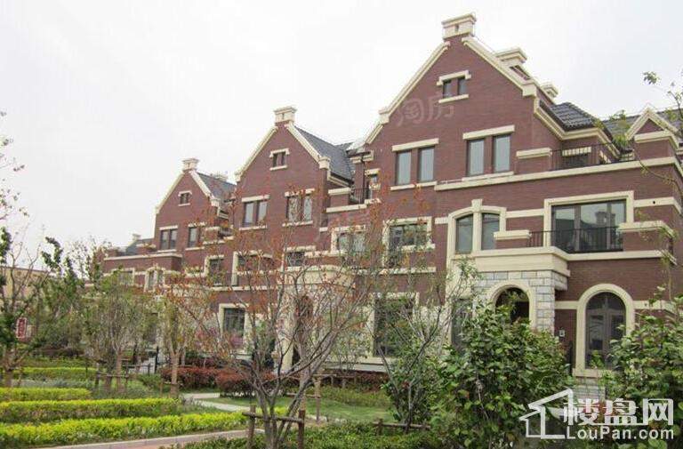 尼德兰北岸实景图