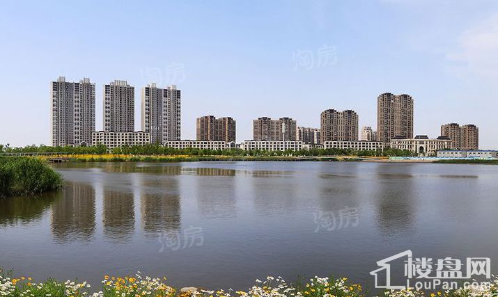 华润中央公园湖墅实景图