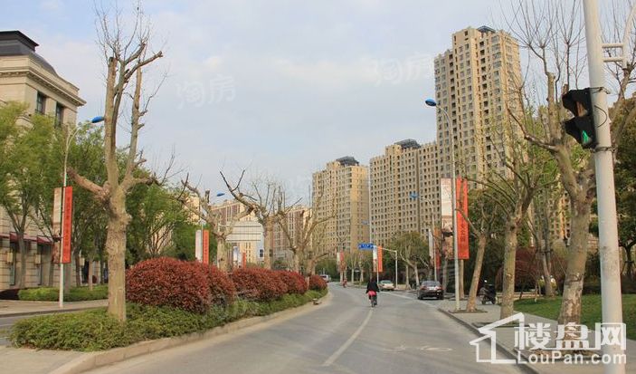 华润中央公园湖墅实景图