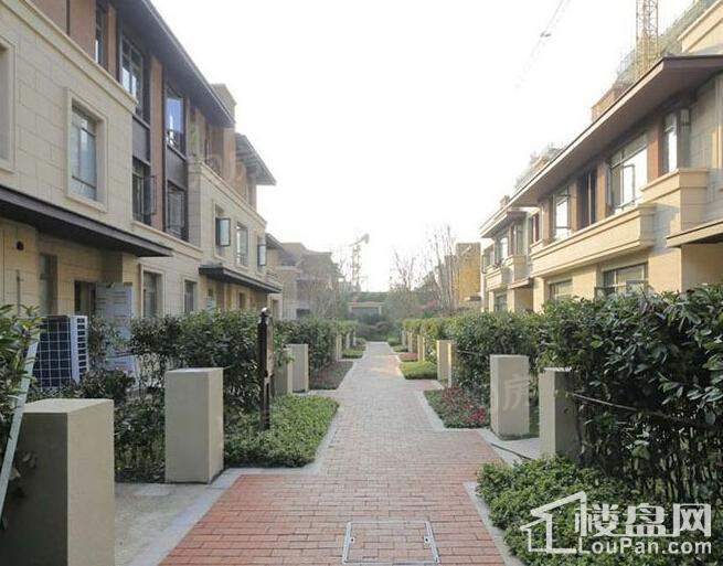 雅居乐星徽实景图