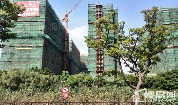 光明D9空间实景图