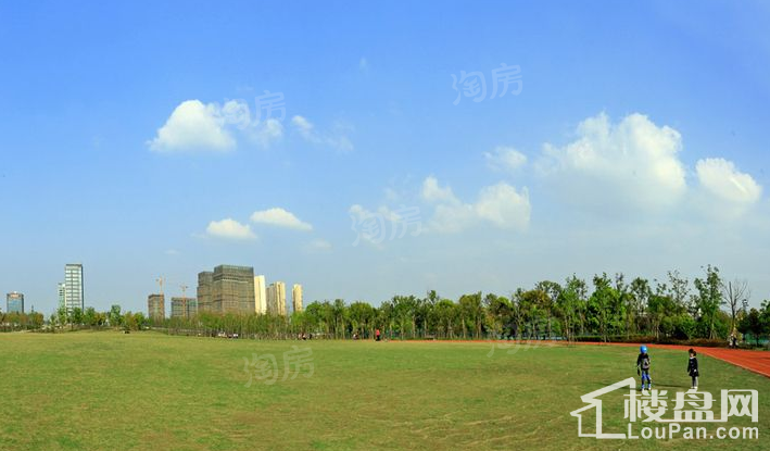 光明D9空间配套图