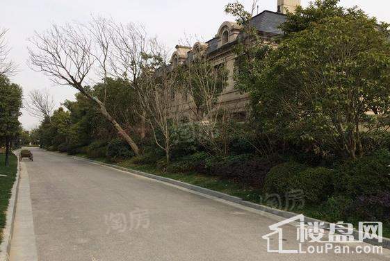 海珀晶华实景图