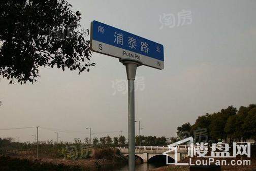 实景图