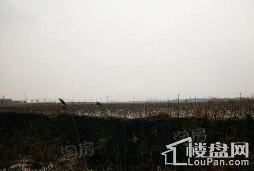 朱家角镇B7、B8 地块实景图