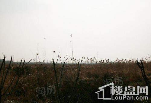 朱家角镇B7、B8 地块实景图