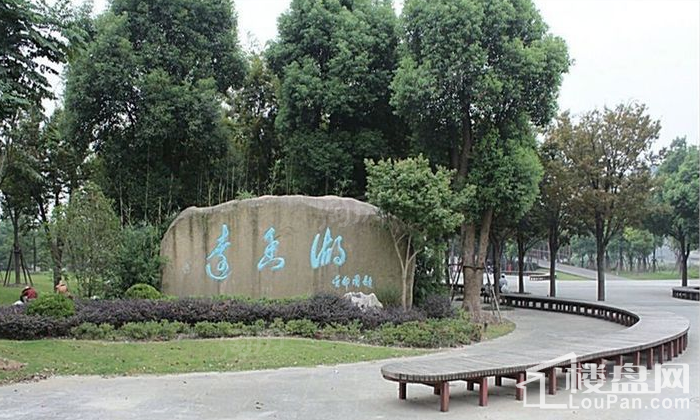 明发嘉定中心配套图