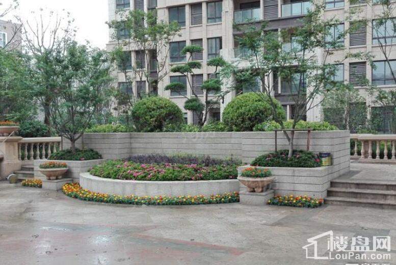 鑫苑壹品世家实景图