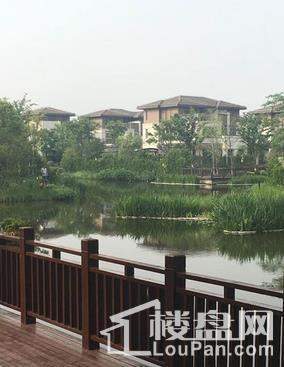 海上湾闻涧实景图