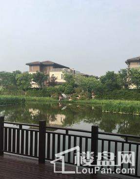 海上湾闻涧实景图