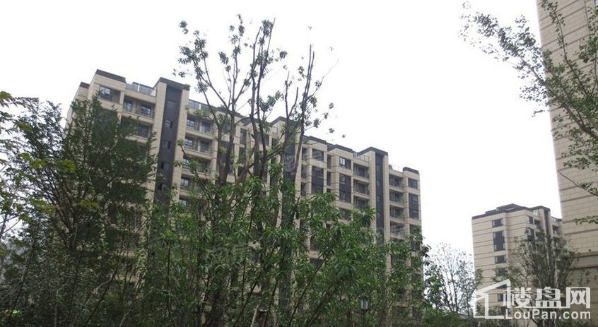 嘉宝梦之湾实景图