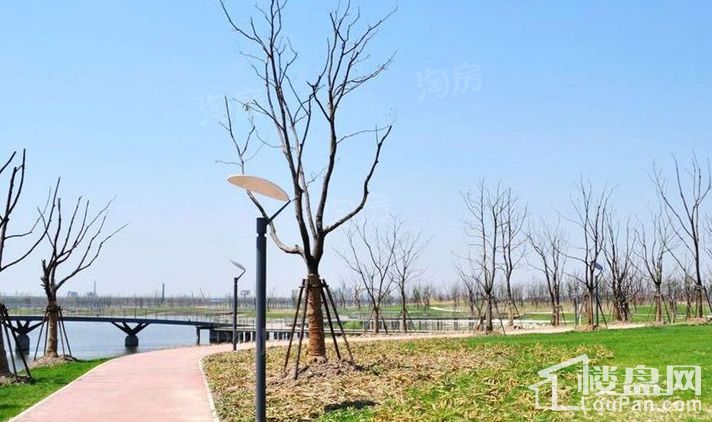 华润中央公园别墅实景图