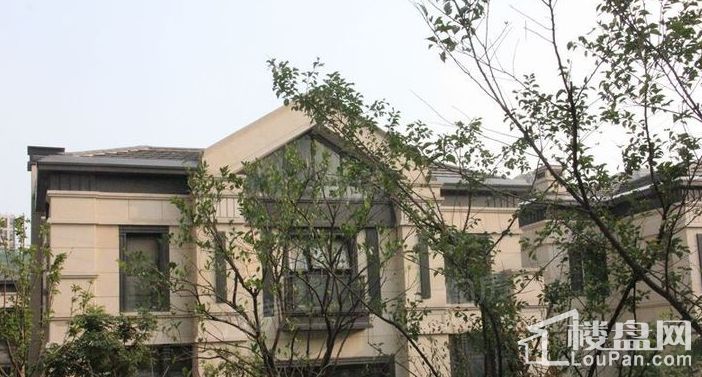 华润中央公园别墅实景图