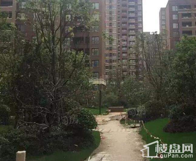 金地自在城三期实景图
